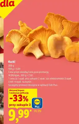 Lidl Kurki oferta