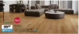 Komfort Dąb Grace oferta