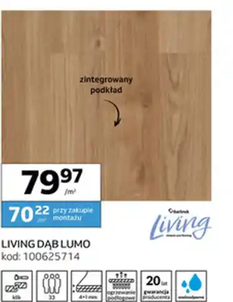 LIVING DĄB LUMO