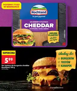 Biedronka Ser topiony do burgerów cheddar Hochland oferta
