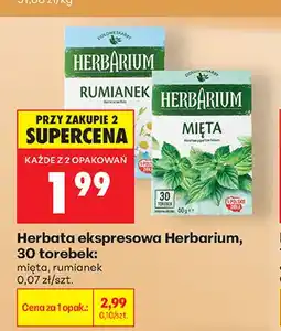 Biedronka Herbata ekspresowa Herbarium mięta oferta