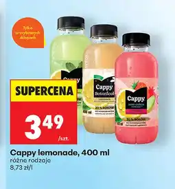 Biedronka Cappy Botanical Lemonade oferta