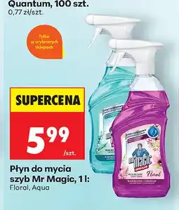 Biedronka Płyn do mycia szyb Mr Magic Floral oferta
