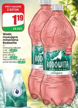 Dino Woda mineralna gazowana musująca Rodowita oferta