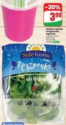 Dino Sałata rukola Sole Gusto oferta