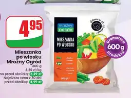 Dino Mieszanka po włosku Mroźny Ogród oferta