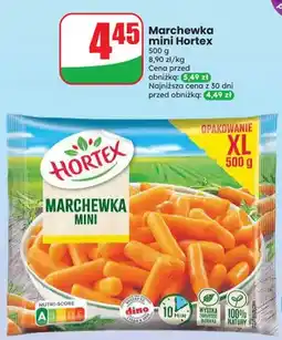 Dino Marchewka mini Hortex oferta