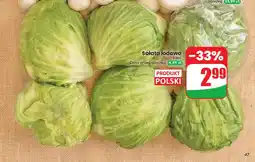 Dino Sałata lodowa polska oferta