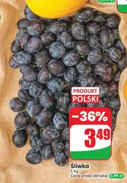 Dino Śliwka polska oferta
