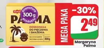 Dino Margaryna Palma oferta