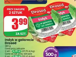 Dino Indyk w galarecie Drosed oferta