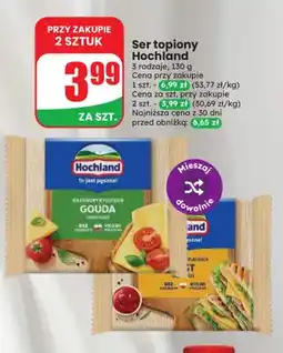 Dino Ser topiony w plastrach Gouda Hochland oferta
