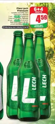 Dino Piwo Lech Premium oferta