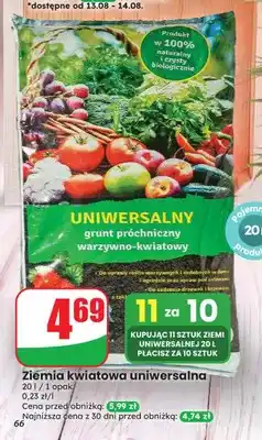Dino Ziemia kwiatowa uniwersalna oferta