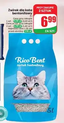 Dino Żwirek dla kota bentonitowy Rico Bent oferta