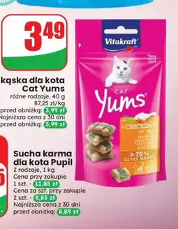 Dino Przekąska dla kota Vitakraft Cat Yums z kurczakiem i trawą dla oferta