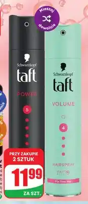 Dino Lakier do włosów Taft Power oferta