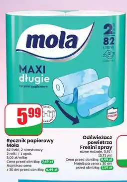 Dino Ręcznik papierowy Mola Maxi długie 2-pak oferta