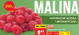 Biedronka Malina polska oferta