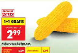 Biedronka Kukurydza kolba, szt oferta