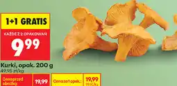 Biedronka Kurki, opak oferta