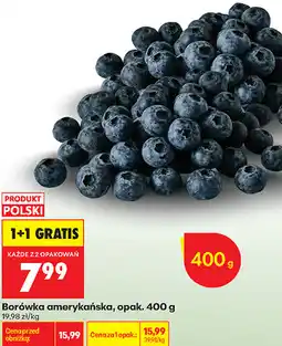 Biedronka Borówka amerykańska, opak oferta