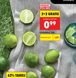 Biedronka Limonka oferta