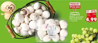 Kaufland Polskie pieczarki oferta