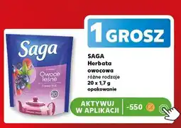Kaufland Saga Herbata owocowa różne rodzaje oferta