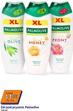 Action Żel pod prysznic Palmolive oferta