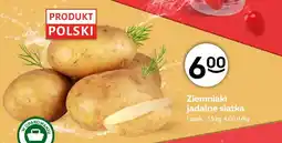 Żabka Ziemniaki jadalne siatka polskie oferta