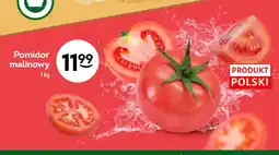 Żabka Pomidor malinowy polski oferta