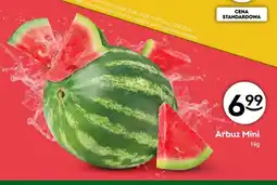 Żabka Arbuz Mini oferta