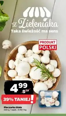 Netto Pieczarka biała polska oferta