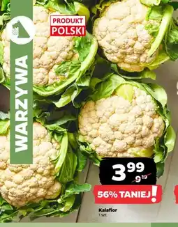 Netto Kalafior polski oferta