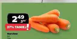 Netto Marchew luz oferta