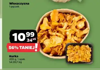 Netto Kurka oferta