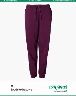 Deichmann Spodnie dresowe 4F oferta