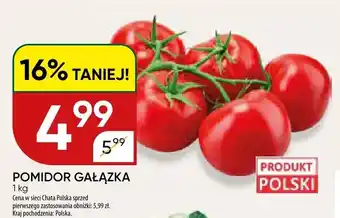 Pomidor gałązka polski