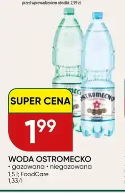Chata Polska Woda Ostromecko gazowana oferta