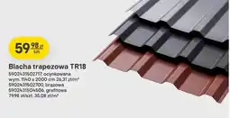 Castorama Blacha trapezowa TR18 ocynkowana oferta