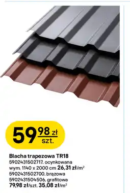 Castorama Blacha trapezowa TR18 oferta