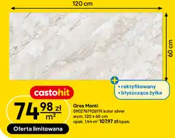 Castorama Gres Monti oferta