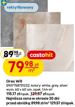 Castorama Gres Will oferta