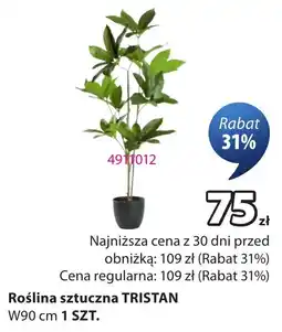 JYSK Roślina sztuczna TRISTAN oferta
