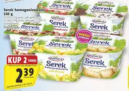Prim Market Serek homogenizowany PIĄTNICA oferta