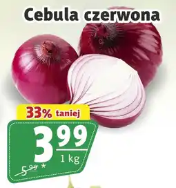 Prim Market Cebula czerwona oferta