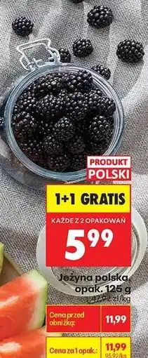 Biedronka Jeżyna polska, opak. 125 g oferta