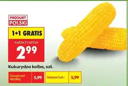 Biedronka Kukurydza kolba szt oferta