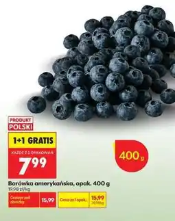 Biedronka Borówka amerykańska, opak. 400 g oferta